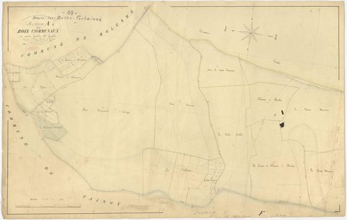 Druyes-les-Belles-Fontaines