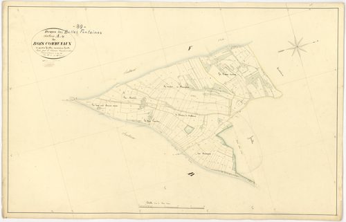 Druyes-les-Belles-Fontaines