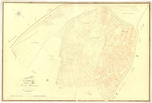 Irancy