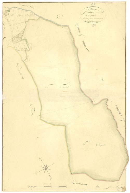 Island