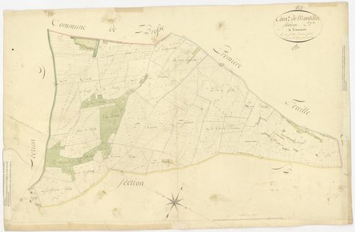 Montillot