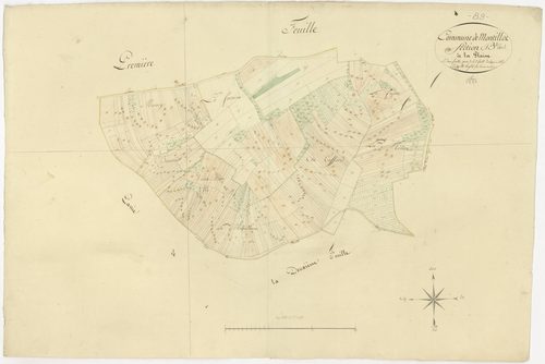 Montillot