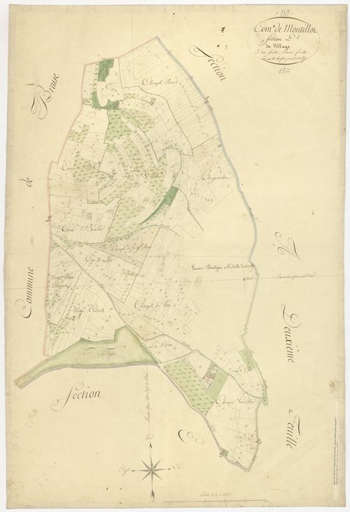 Montillot
