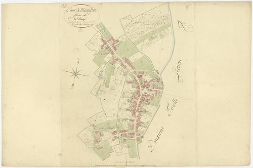 Montillot