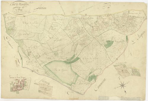 Montillot