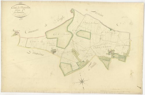 Montillot