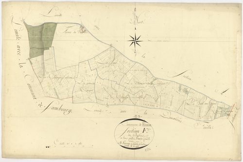 Vireaux