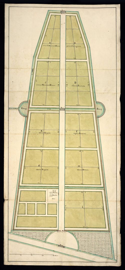 Correspondance entre l'intendant et son subdélégué concernant l'établissement d'une pépinière à Belfort et l'envoi d'arbres et de semences à cet endroit. Etats de situation des pépinières de Belfort.