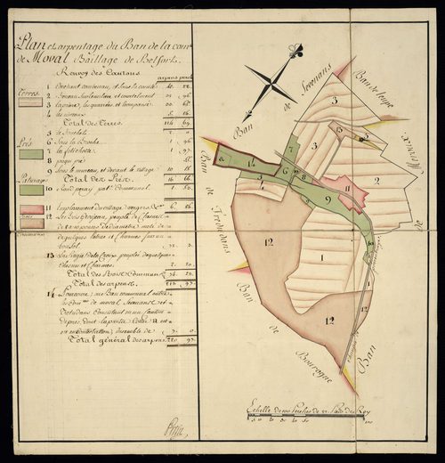 Moval : minute et mise au net.