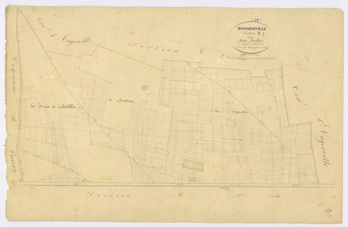 ANGERVILLE, Dommerville. -Section C1 - Bois Berthier, ech. 1/2000, coul., aquarelle, papier, 69x105 (1839). 