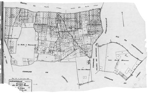 AVRAINVILLE. - Cadastre révisé pour 1933 : plan de la section B la Motte 1ère feuille ; cadastre révisé pour 1933 mis à jour pour 1955 : plans de la section A le Village 3ème feuille, section D les Bois Blancs ; cadastre renouvelé pour 1955 : plans de la 