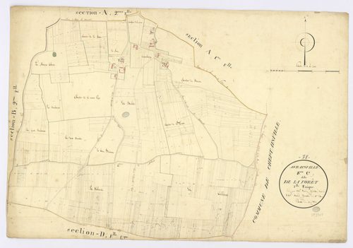 AVRAINVILLE. - Section C - Forêt (la), ech. 1/2500, coul., aquarelle, papier, 69x99 (1820). 