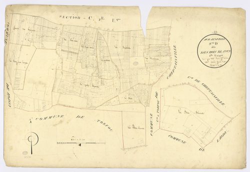 AVRAINVILLE. - Section D - Bois-Blancs (les), ech. 1/2500, coul., aquarelle, papier, 69x100 (1820). 