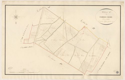 BALLAINVILLIERS. - Section C : Poirier Cadard (le). 