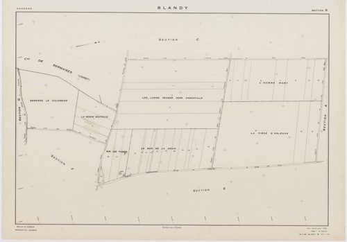 BLANDY, plans minutes de conservation : tableau d'assemblage,1953, Ech. 1/10000 ; plans des sections A, B, C, D, E, G, 1953, Ech. 1/2000, section F, 1953, Ech. 1/2000, section ZA, 1998, Ech. 1/2000. Polyester. N et B. Dim. 105 x 80 cm [9 plans]. 