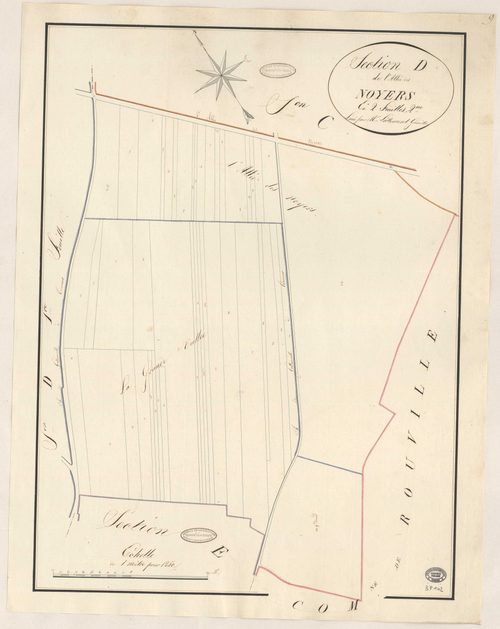 BOIGNEVILLE. - Section D : Allée des Noyers (l'), 2e feuille. 