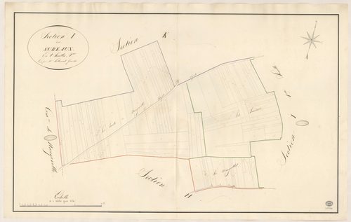 BOIGNEVILLE. - Section I : Sureaux (les), 2e feuille. 