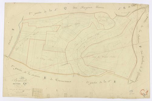 BOIGNEVILLE. - Section Q - Rayons Blancs (les), 1, ech. 1/1250, coul., aquarelle, papier, 62x94 (1813). 