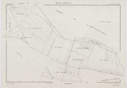 BOIS-HERPIN, plans minutes de conservation : tableau d'assemblage,1952, Ech. 1/5000; plans des sections W, X, Y, Z, 1952, Ech. 1/2000, section ZA, 1998, Ech. 1/2000. Polyester. N et B. Dim. 105 x 80 cm [6 plans]. 