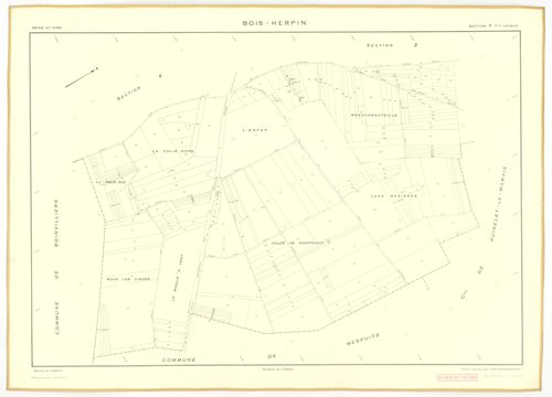 Plans minutes de conservation : BOIS-HERPIN : tableau d'assemblage, ech. 1/5000 (1952), sections W, X, Y, Z, ech. 1/2000 (1952), NB, papier, 105x80 [5 plans]. 