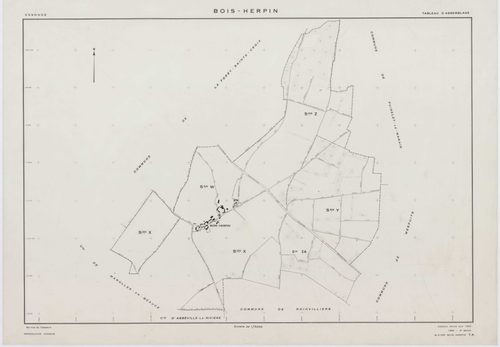 BOIS-HERPIN, plans minutes de conservation : tableau d'assemblage,1952, Ech. 1/5000; plans des sections W, X, Y, Z, 1952, Ech. 1/2000, section ZA, 1998, Ech. 1/2000. Polyester. N et B. Dim. 105 x 80 cm [6 plans]. 