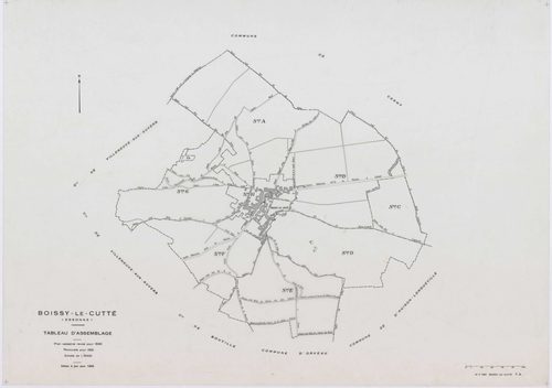 BOISSY-LE-CUTTE, plans minutes de conservation : tableau d'assemblage,1951, Ech. 1/5000 ; plans des sections A, B, 1951, Ech. 1/2000, sections C, D, E, F, G, H, 1951, Ech. 1/1250, section ZA, 1986, Ech. 1/2000. Polyester. N et B. Dim. 105 x 80 cm [10 plan