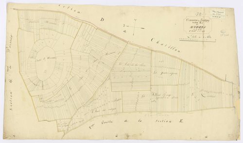 BOUTIGNY-SUR-ESSONNE. - Section E - Audigers (les), 1, ech. 1/1250, coul., aquarelle, papier, 62x105 (1816). 