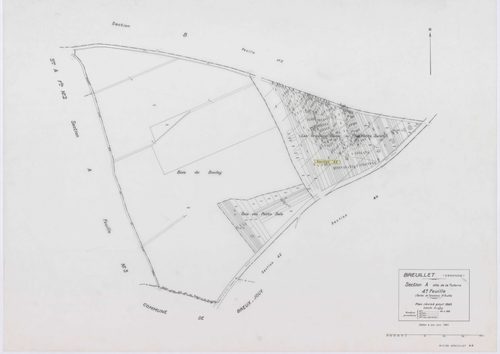 BREUILLET, plans minutes de conservation : tableau d'assemblage,1943, Ech. 1/10000 ; plans des sections A1, A2, A3, A4, B1, B2, B3, B4, 1943, Ech. 1/1250, sections AE, AH, AI, AK, AL, AM, AN, AO, AP, AR, AS, AY, AZ, 2001, Ech. 1/1000, sections AA, AB, AD,