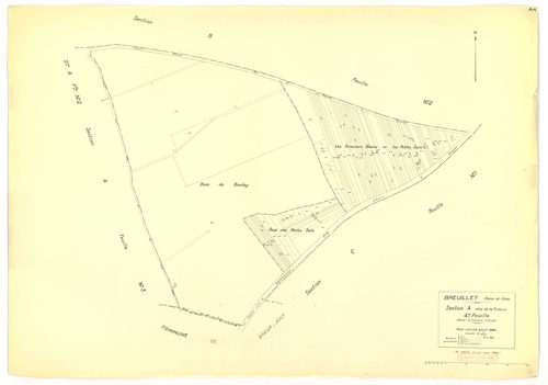 Plans minutes de conservation : BREUILLET : tableau d'assemblage, ech. 1/10000 (1943), sections A1, A2, A3, A4, B1, B2, B3, B4, C1, C2, D1, D2, ech. 1/1250, section E, ech. 1/2500 (1943) ; sections A1, A2, A4, B1, C1, C2, D1, ech. 1/1250 (1960), NB, papie