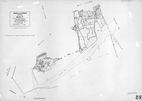 BRIIS-SOUS-FORGES. - Plan révisé pour 1933, à jour pour 1974 : plans des sections C dite de Bligny (feuille 1) et D dite du Coudray ; plan révisé pour 1933, à jour pour 1977 (3ème édition) : plans du tableau d'assemblage, des sections C (feuilles 2-3) et 