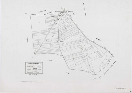 BRIIS-SOUS-FORGES, plans minutes de conservation : tableau d'assemblage,1933, Ech. 1/10000 ; plans des sections C1, C3, F2, F4, 1933, Ech. 1/1250, sections C2, D, E, F1, F3, 1933, Ech. 1/2500, sections ZB, ZC, ZD, ZE, ZH, ZI, 1977, Ech. 1/2000, section ZK