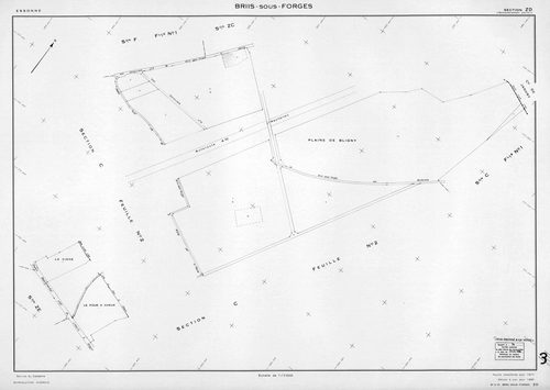 BRIIS-SOUS-FORGES. - Plan révisé pour 1933, à jour pour 1974 : plans des sections C dite de Bligny (feuille 1) et D dite du Coudray ; plan révisé pour 1933, à jour pour 1977 (3ème édition) : plans du tableau d'assemblage, des sections C (feuilles 2-3) et 