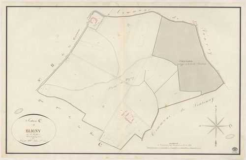 BRIIS-SOUS-FORGES. - Section C : Bligny, 2e feuille. 