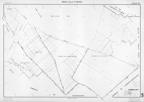 BRIIS-SOUS-FORGES. - Plan révisé pour 1933, à jour pour 1974 : plans des sections C dite de Bligny (feuille 1) et D dite du Coudray ; plan révisé pour 1933, à jour pour 1977 (3ème édition) : plans du tableau d'assemblage, des sections C (feuilles 2-3) et 