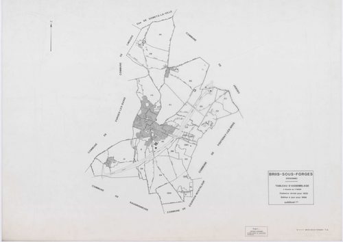 BRIIS-SOUS-FORGES, plans minutes de conservation : tableau d'assemblage,1933, Ech. 1/10000 ; plans des sections C1, C3, F2, F4, 1933, Ech. 1/1250, sections C2, D, E, F1, F3, 1933, Ech. 1/2500, sections ZB, ZC, ZD, ZE, ZH, ZI, 1977, Ech. 1/2000, section ZK