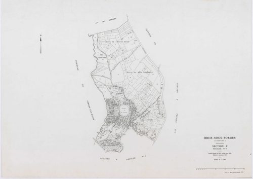 BRIIS-SOUS-FORGES, plans minutes de conservation : tableau d'assemblage,1933, Ech. 1/10000 ; plans des sections C1, C3, F2, F4, 1933, Ech. 1/1250, sections C2, D, E, F1, F3, 1933, Ech. 1/2500, sections ZB, ZC, ZD, ZE, ZH, ZI, 1977, Ech. 1/2000, section ZK