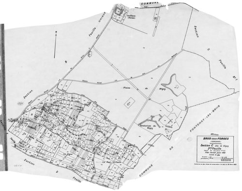 BRIIS-SOUS-FORGES .- Cadastre révisé pour 1933 : plan du tableau d'assemblage, plans de la section A Frileuse , section B la Garenne, section C Bligny 1ère feuille, idem 2ème feuille, section D Coudray, section E Launay-Maréchaux, section F le Village 1èr