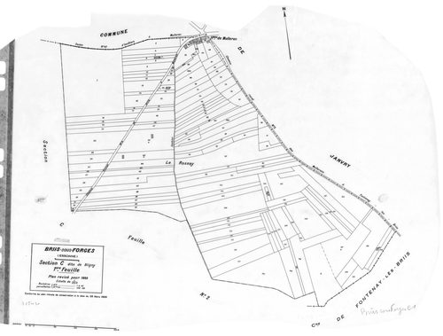 BRIIS-SOUS-FORGES .- Cadastre révisé pour 1933 : plan du tableau d'assemblage, plans de la section A Frileuse , section B la Garenne, section C Bligny 1ère feuille, idem 2ème feuille, section D Coudray, section E Launay-Maréchaux, section F le Village 1èr