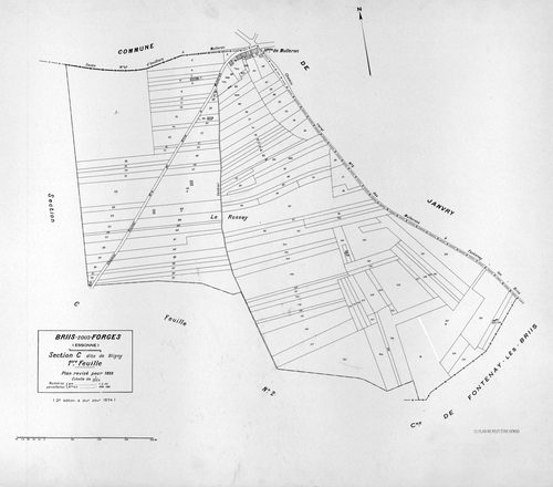 BRIIS-SOUS-FORGES. - Plan révisé pour 1933, à jour pour 1974 : plans des sections C dite de Bligny (feuille 1) et D dite du Coudray ; plan révisé pour 1933, à jour pour 1977 (3ème édition) : plans du tableau d'assemblage, des sections C (feuilles 2-3) et 