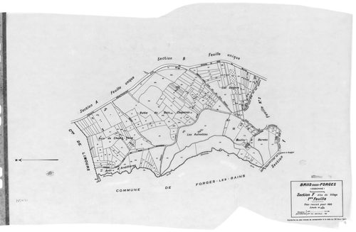BRIIS-SOUS-FORGES .- Cadastre révisé pour 1933 : plan du tableau d'assemblage, plans de la section A Frileuse , section B la Garenne, section C Bligny 1ère feuille, idem 2ème feuille, section D Coudray, section E Launay-Maréchaux, section F le Village 1èr