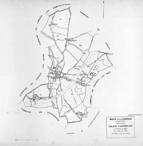 BRIIS-SOUS-FORGES. - Plan révisé pour 1933, à jour pour 1974 : plans des sections C dite de Bligny (feuille 1) et D dite du Coudray ; plan révisé pour 1933, à jour pour 1977 (3ème édition) : plans du tableau d'assemblage, des sections C (feuilles 2-3) et 