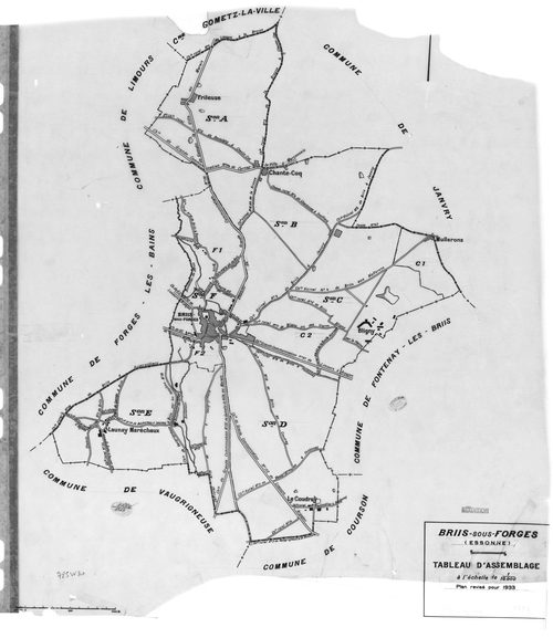 BRIIS-SOUS-FORGES .- Cadastre révisé pour 1933 : plan du tableau d'assemblage, plans de la section A Frileuse , section B la Garenne, section C Bligny 1ère feuille, idem 2ème feuille, section D Coudray, section E Launay-Maréchaux, section F le Village 1èr