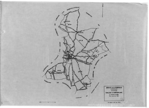 BRIIS-SOUS-FORGES .- Cadastre révisé pour 1933 : plan du tableau d'assemblage, plans de la section A Frileuse , section B la Garenne, section C Bligny 1ère feuille, idem 2ème feuille, section D Coudray, section E Launay-Maréchaux, section F le Village 1èr