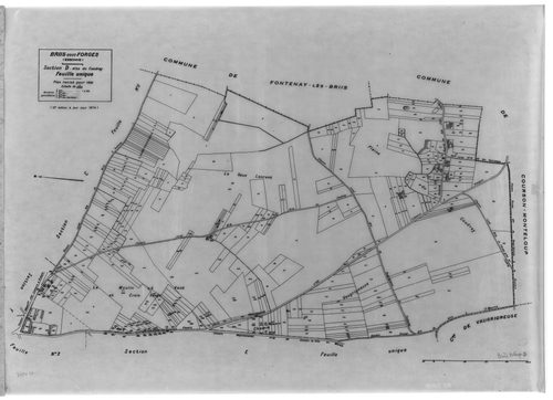 BRIIS-SOUS-FORGES .- Cadastre révisé pour 1933 : plan du tableau d'assemblage, plans de la section A Frileuse , section B la Garenne, section C Bligny 1ère feuille, idem 2ème feuille, section D Coudray, section E Launay-Maréchaux, section F le Village 1èr