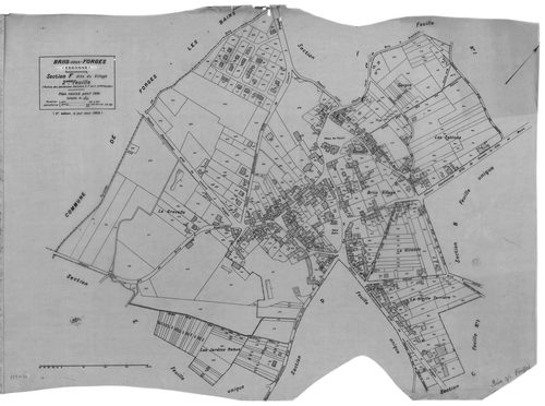 BRIIS-SOUS-FORGES .- Cadastre révisé pour 1933 : plan du tableau d'assemblage, plans de la section A Frileuse , section B la Garenne, section C Bligny 1ère feuille, idem 2ème feuille, section D Coudray, section E Launay-Maréchaux, section F le Village 1èr