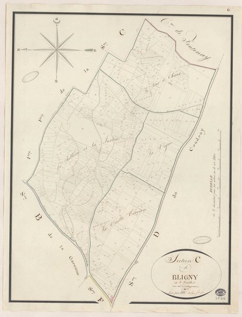 BRIIS-SOUS-FORGES. - Section C : Bligny, 1ère feuille. 