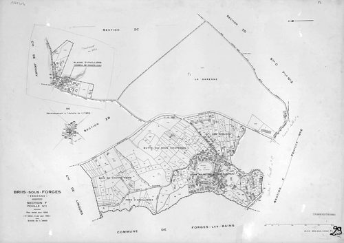 BRIIS-SOUS-FORGES. - Plan révisé pour 1933, à jour pour 1974 : plans des sections C dite de Bligny (feuille 1) et D dite du Coudray ; plan révisé pour 1933, à jour pour 1977 (3ème édition) : plans du tableau d'assemblage, des sections C (feuilles 2-3) et 
