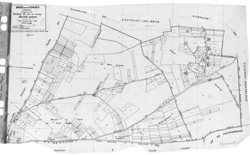 BRIIS-SOUS-FORGES .- Cadastre révisé pour 1933 : plan du tableau d'assemblage, plans de la section A Frileuse , section B la Garenne, section C Bligny 1ère feuille, idem 2ème feuille, section D Coudray, section E Launay-Maréchaux, section F le Village 1èr