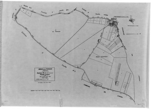 BRIIS-SOUS-FORGES .- Cadastre révisé pour 1933 : plan du tableau d'assemblage, plans de la section A Frileuse , section B la Garenne, section C Bligny 1ère feuille, idem 2ème feuille, section D Coudray, section E Launay-Maréchaux, section F le Village 1èr