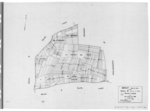 BROUY .- Cadastre révisé pour 1938 : plan du tableau d'assemblage, plans de la section A les Oisonnières, section B la Treille, section C la Meule, section D la Côte Rouge, section E les Fourneaux, section F la Justice ; cadastre révisé pour 1951 mis à jo